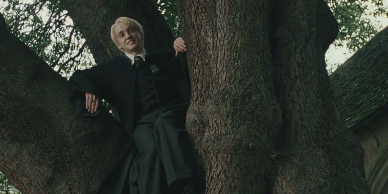 Draco Malfoy in a tree in Harry Potter and the Goblet of Fire 