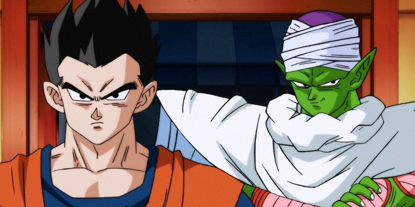 Gohan and Piccolo in Dragon Ball Super