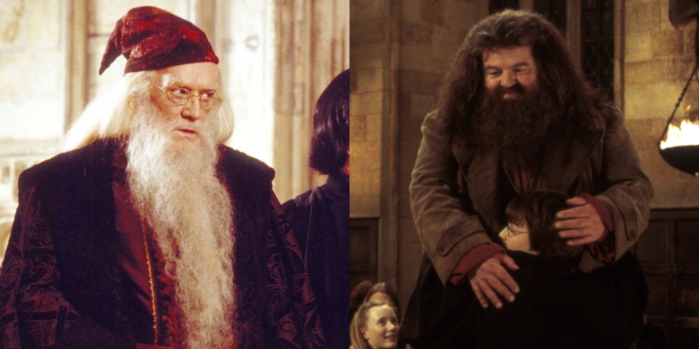 A split image showing Dumbledore on the left and Hagrid hugging Harry on the right from Harry Potter