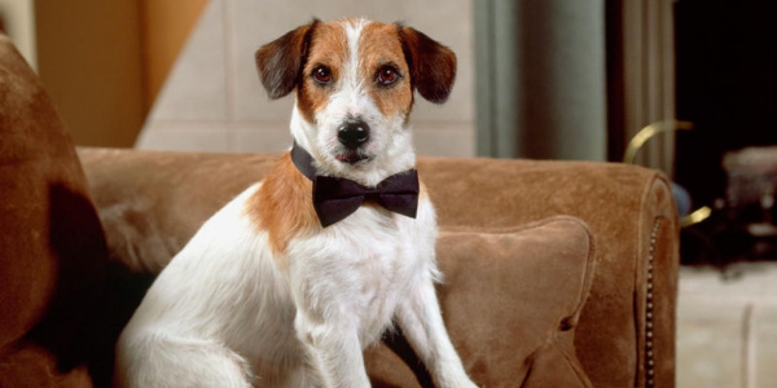 Frasier Eddie's Best Costumes