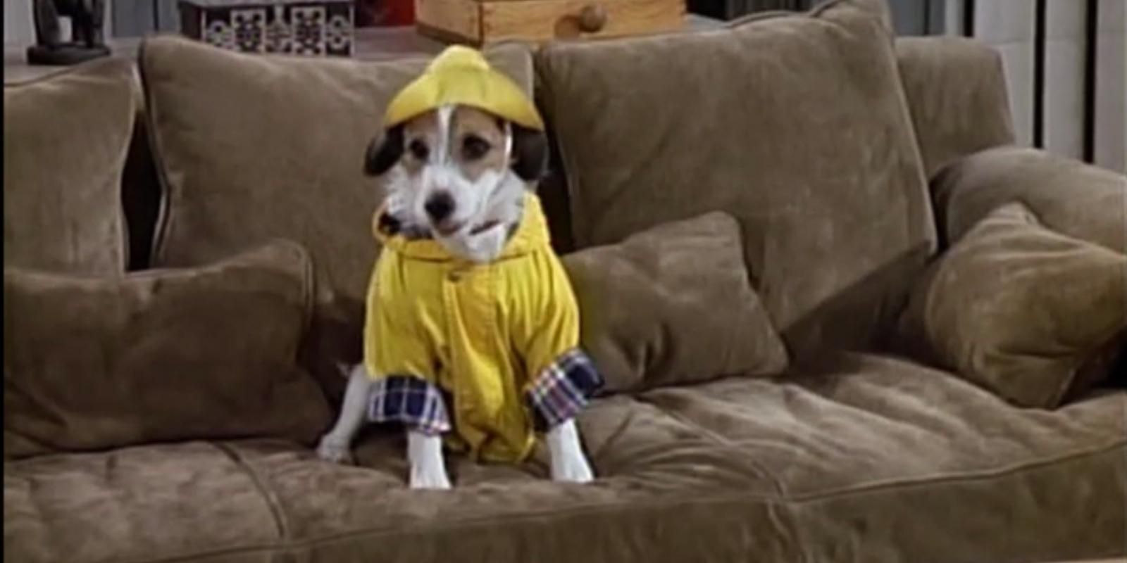 Frasier Eddie's Best Costumes