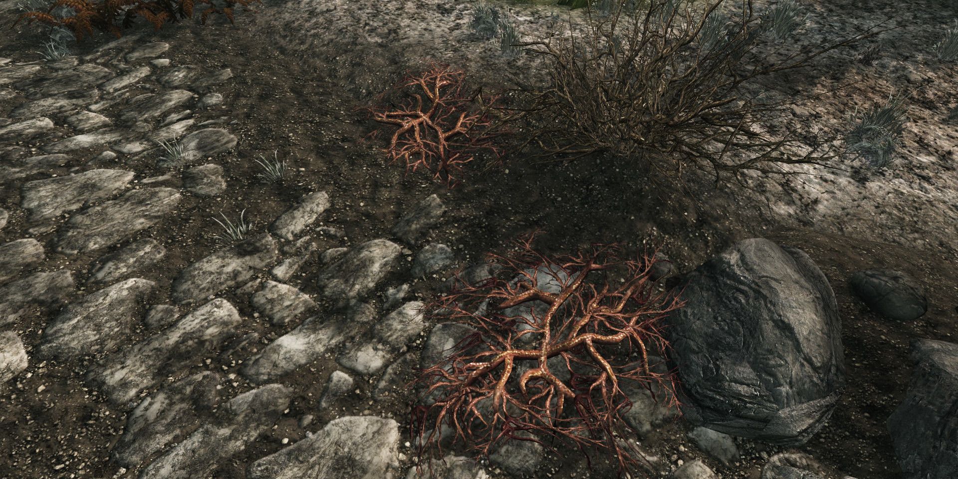 Skyrim: How To Harvest Creep Clusters