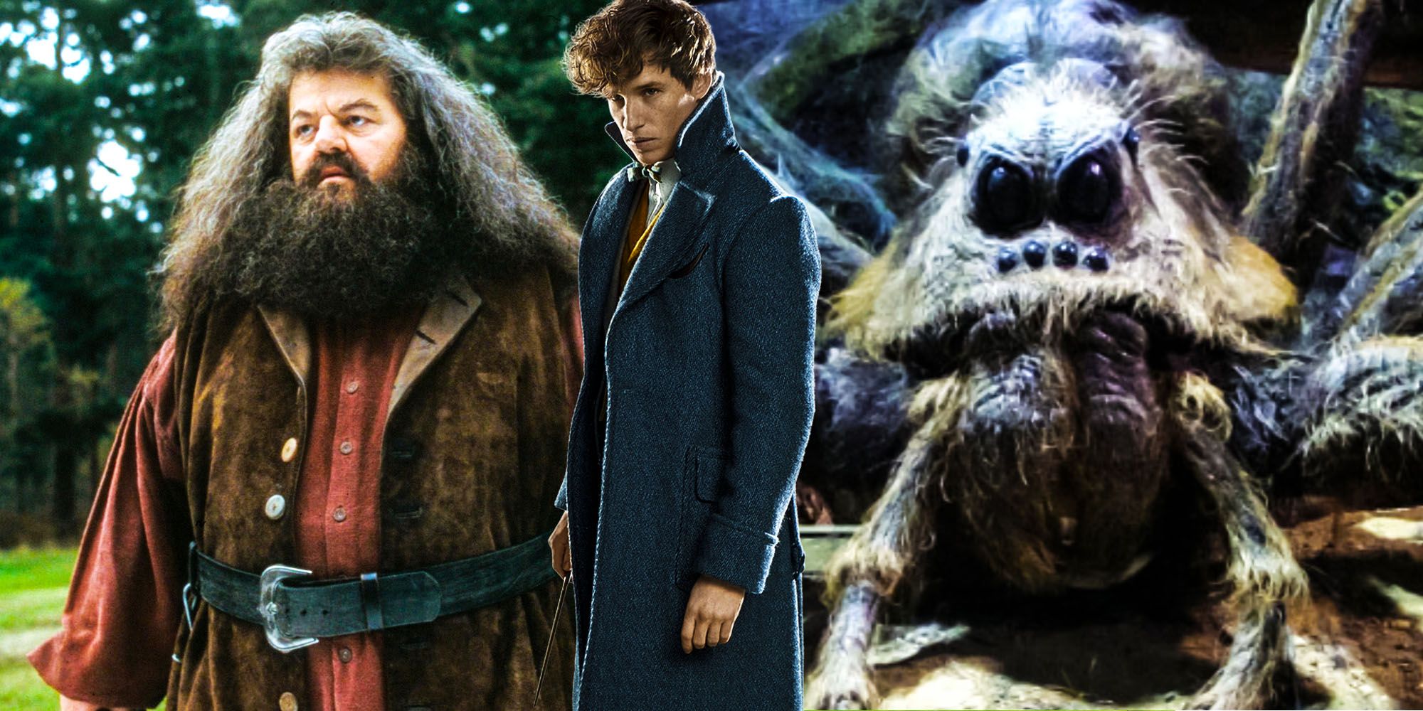 Fantastic Beasts can explain how Hagrid got Aragog