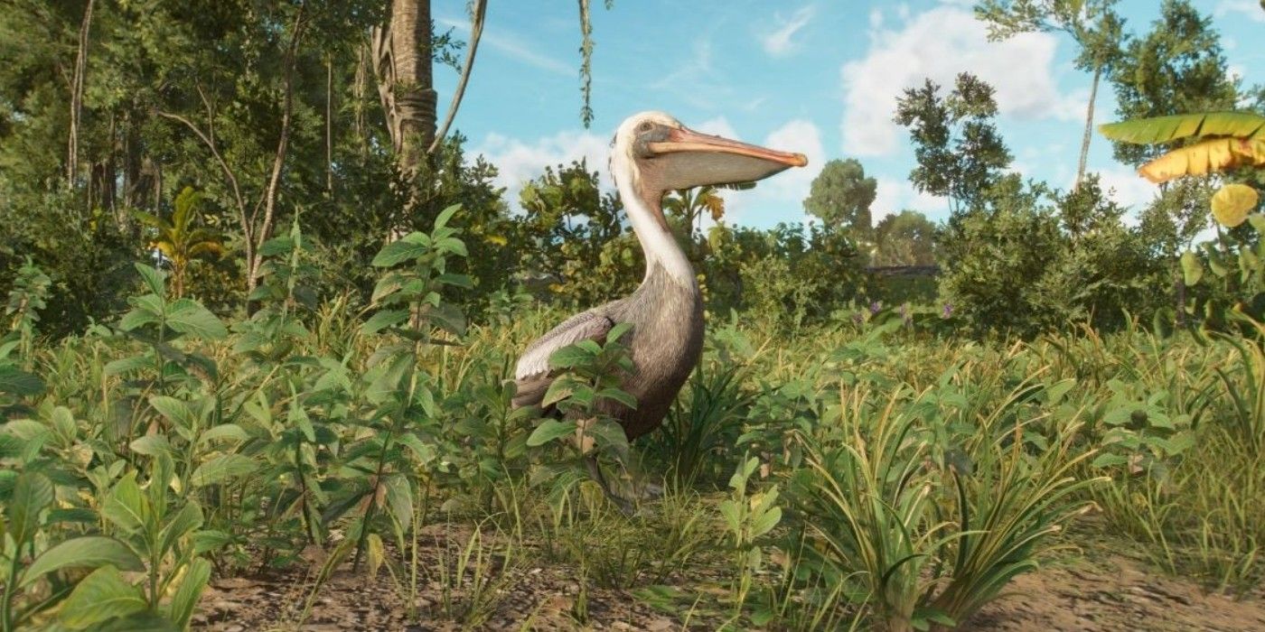 Far Cry’s Beautiful Wildlife Deserves Better Than Existing For Murder