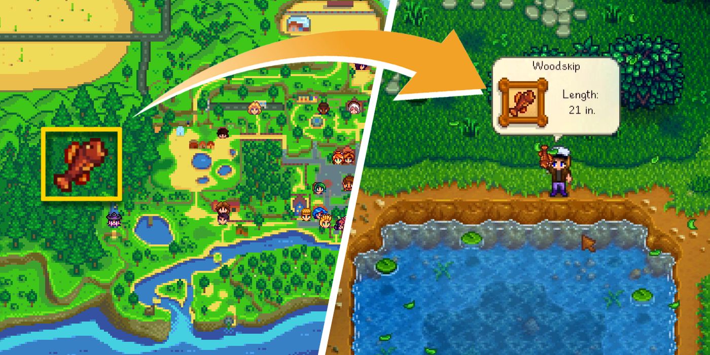 woodskip stardew valley