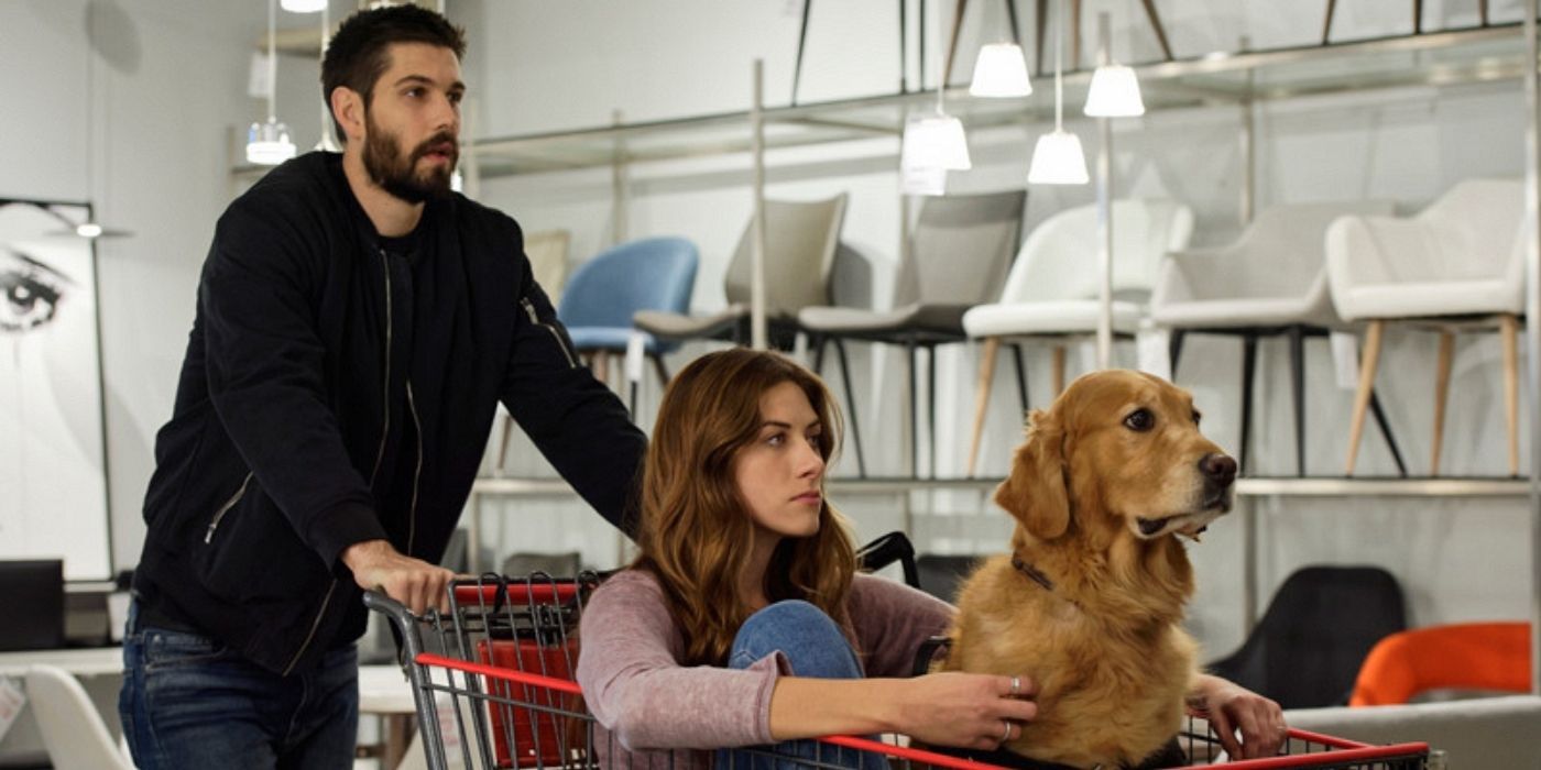 Two characters and a dog walk through a store in the show In The Dark