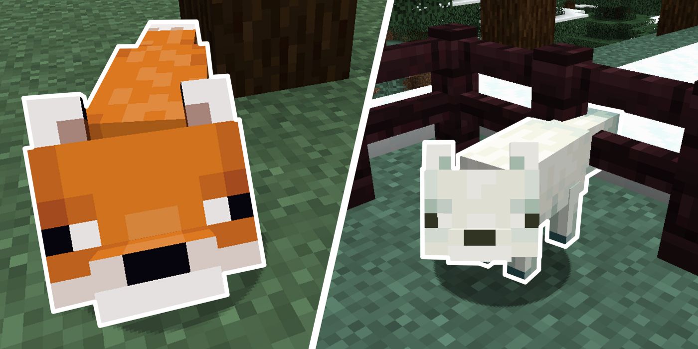 Minecraft How to Breed Foxes