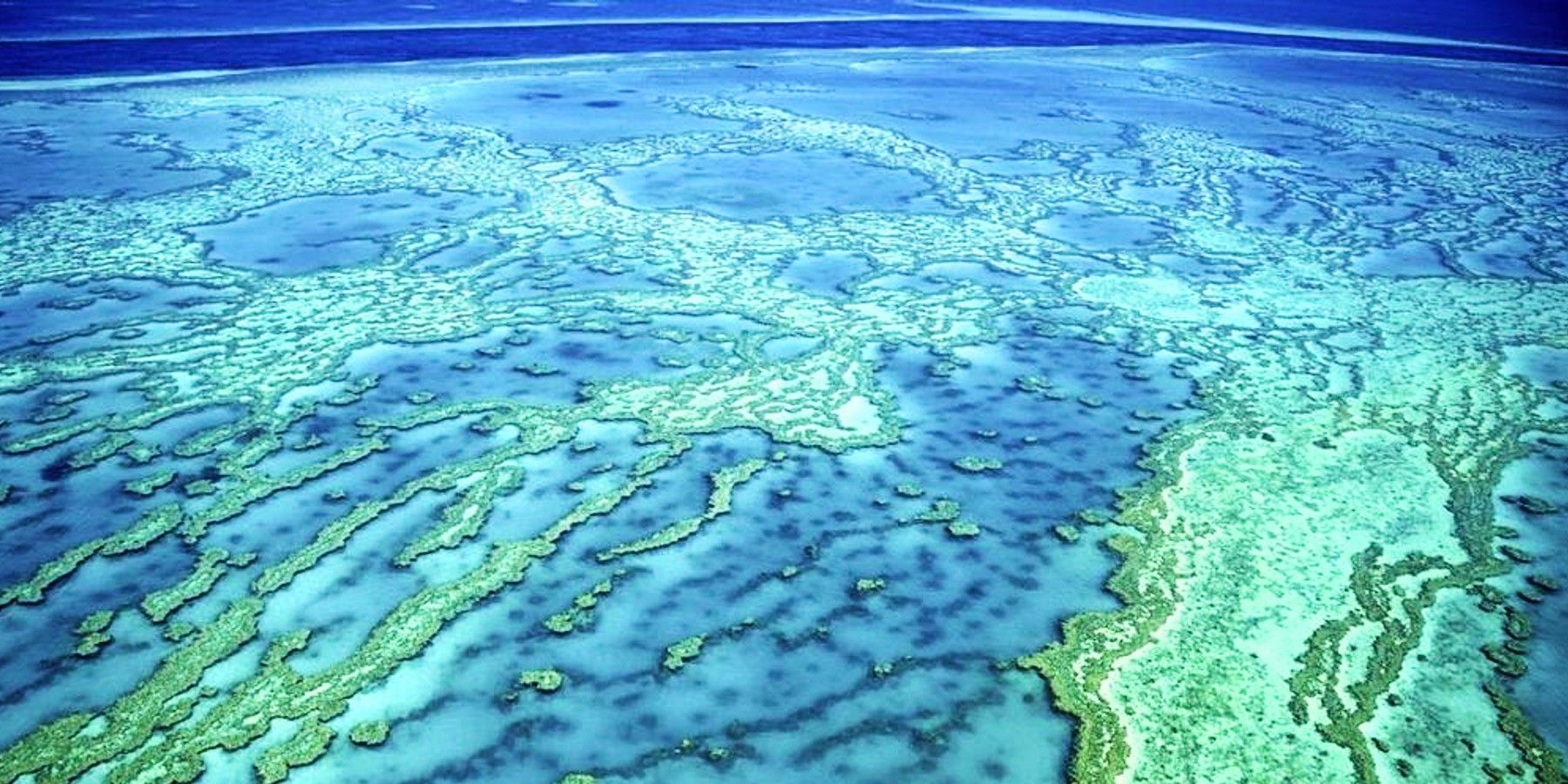 NASA Satellite Image Of Great Coral Barrier.