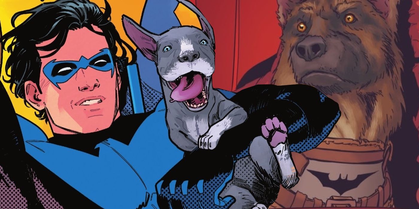 Nightwing-Dog-Haley-Bitewing-Batman-Ace-Featured