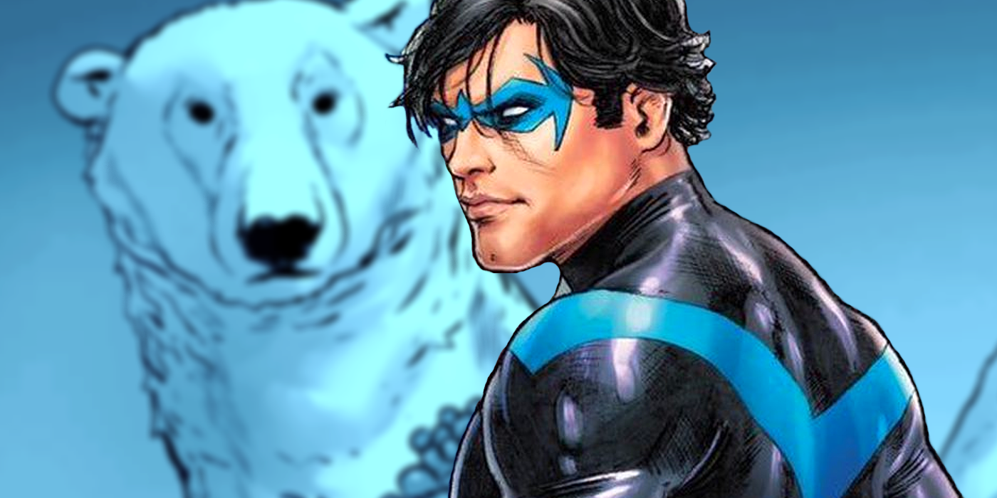 Nightwing Gail Simone Bear Tom Taylor