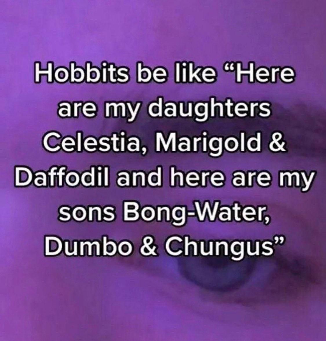 Meme on the naming of Hobbit children