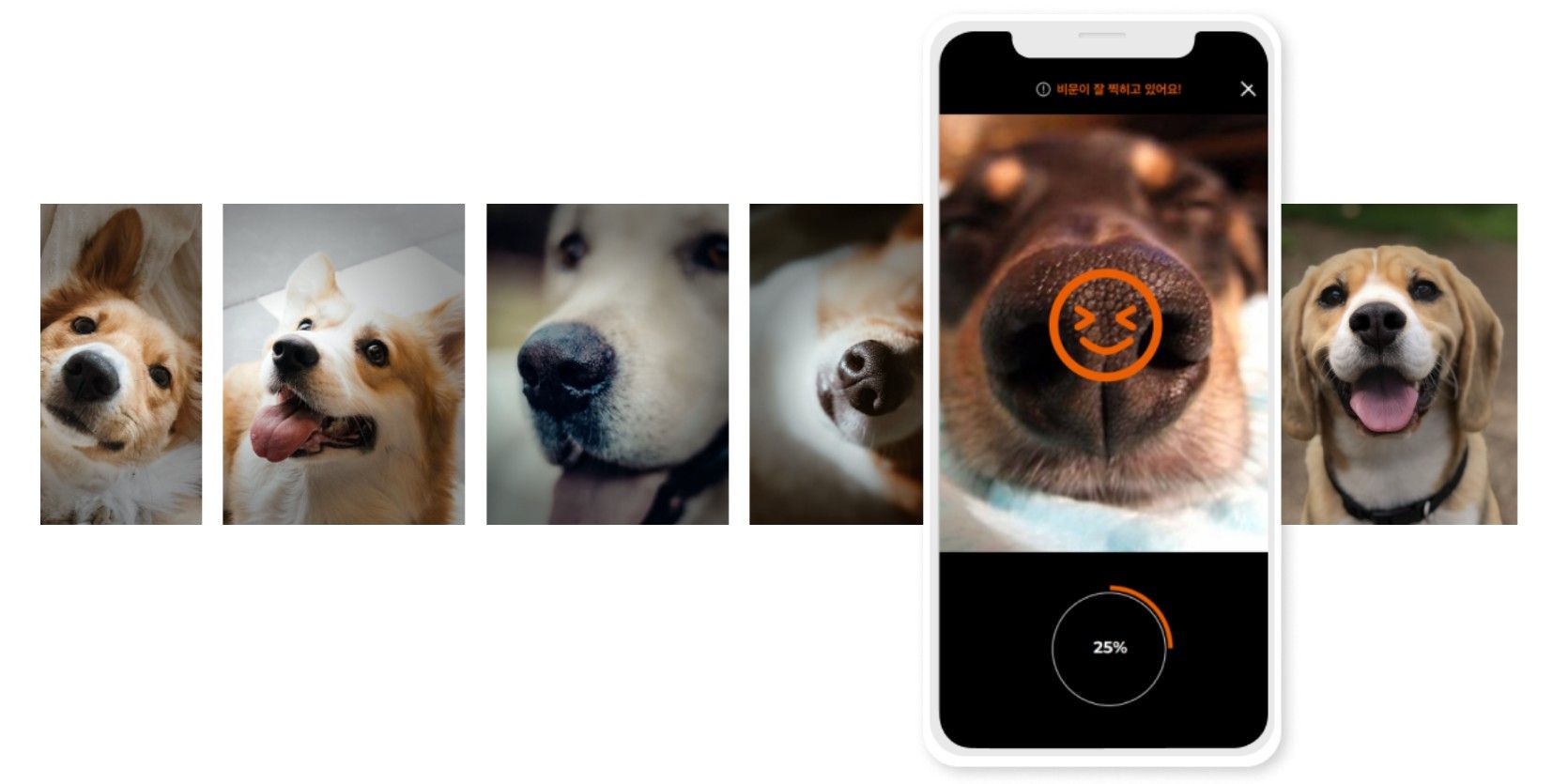 Petnow app scans dog nose for ID verification.