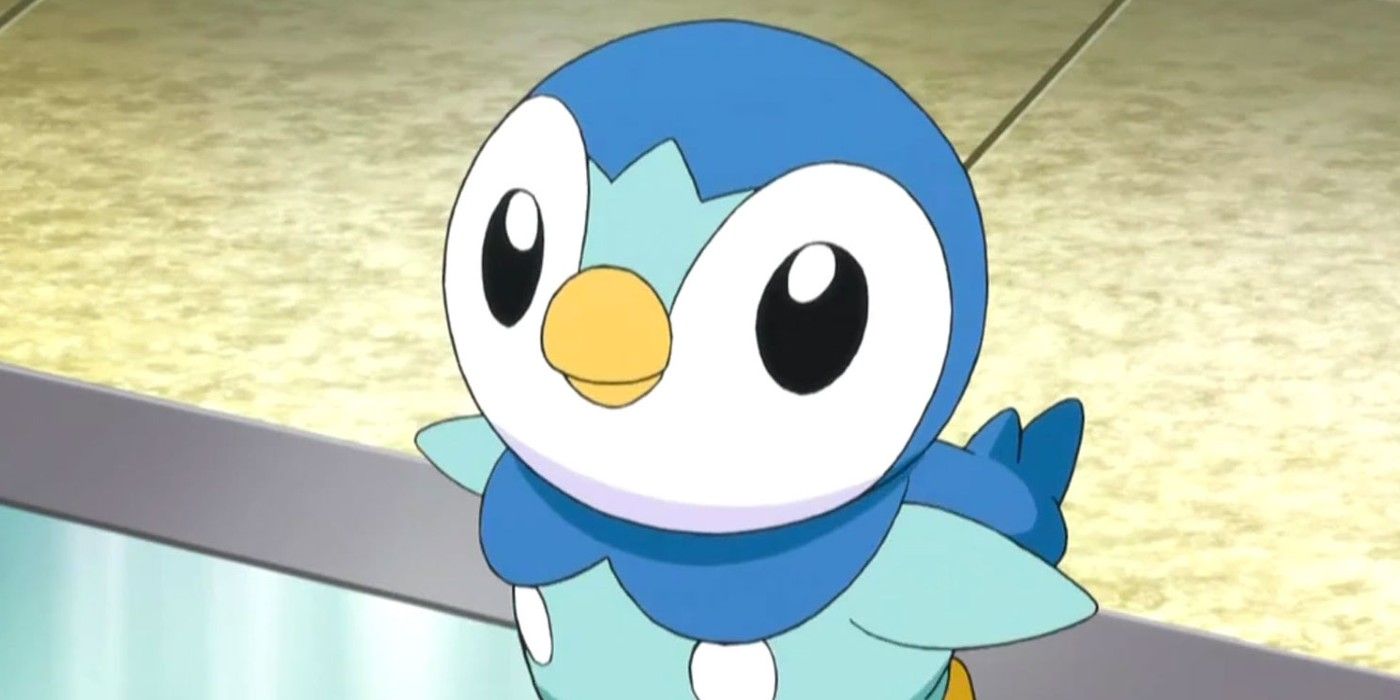 Piplup looking up eagerly, waiting to adventure the Pokémon world.