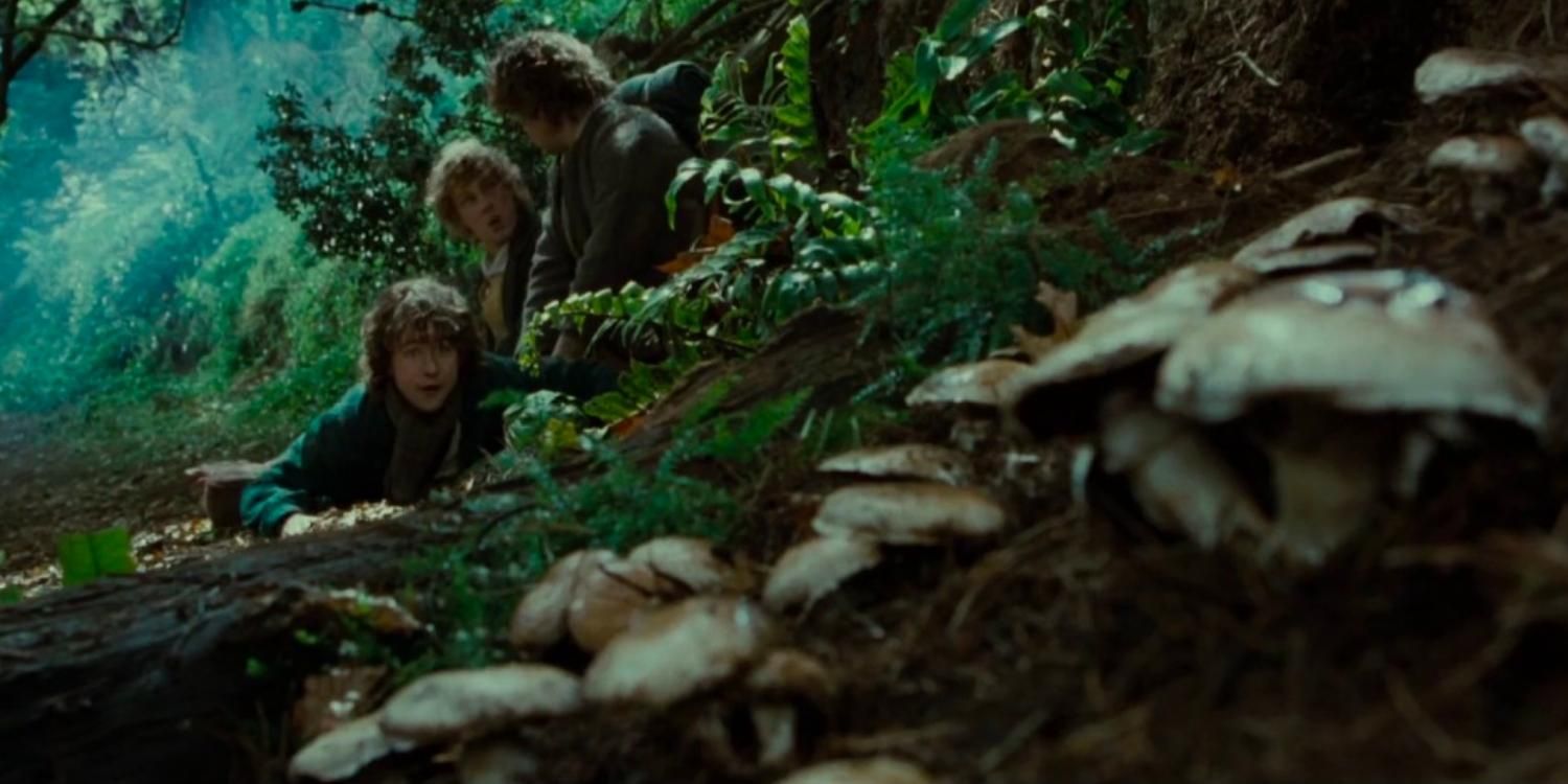 Pippin spotting mushrooms in The Lord of the Rings