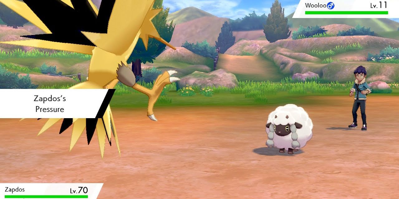 Pokémon Sword and Shield Hop Rival Battle Wooloo Zapdos