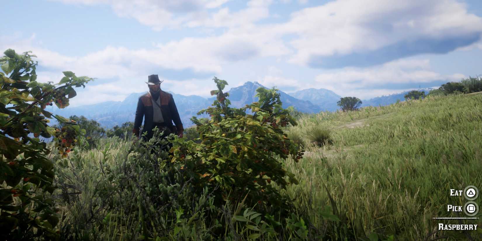 Cassis Rdr2 RDR2: How To Beat Every Herbalist Challenge