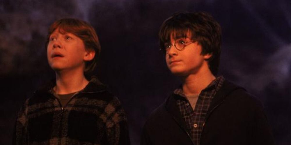Ron looking terrified as he and Harry follow the spiders in Harry Potter