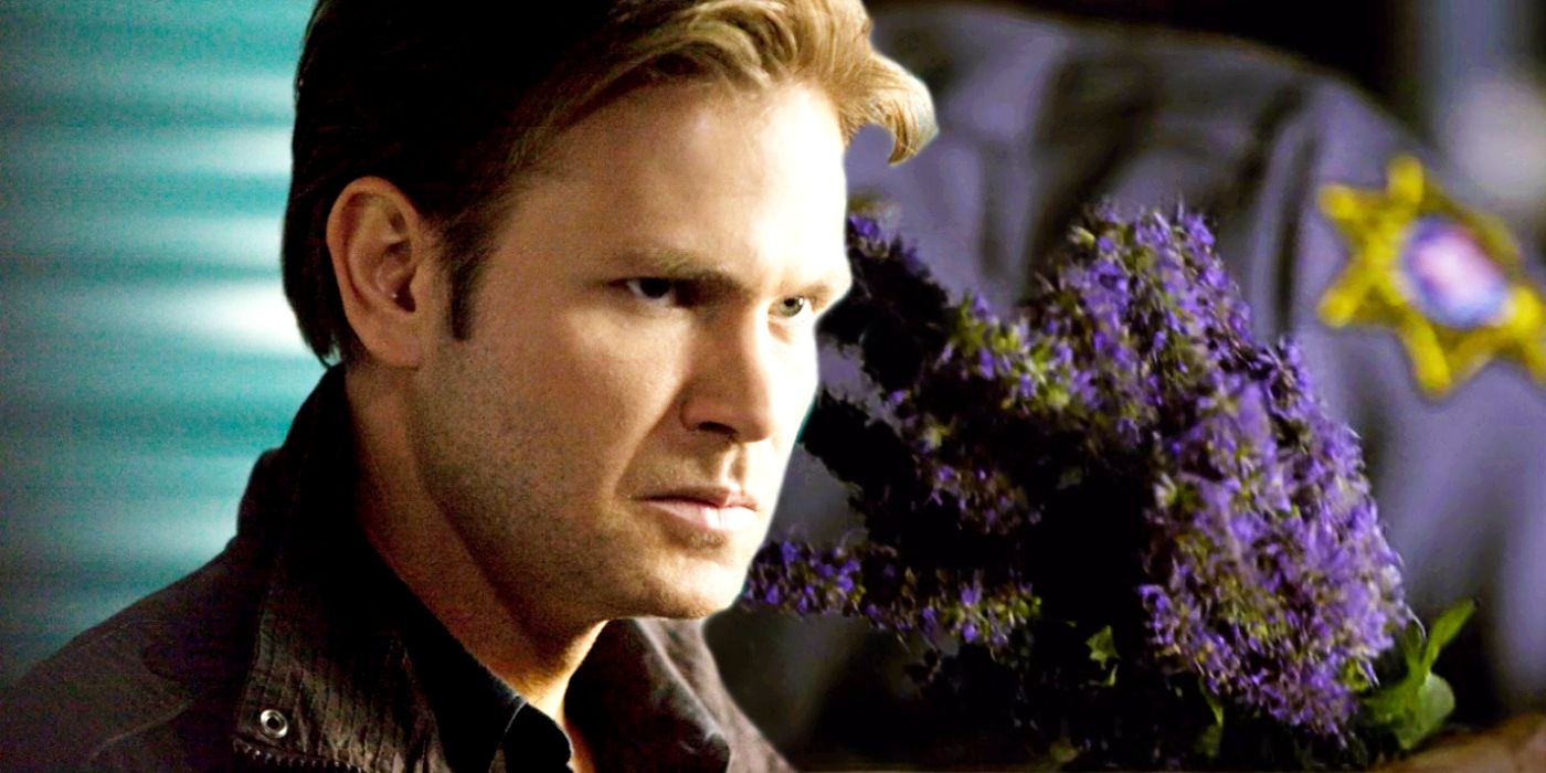 Alaric VOLTA a vida  The Vampire Diaries (1x15) 