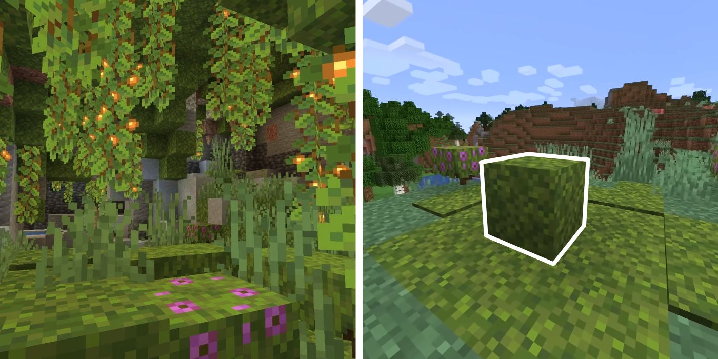A picture of a greenry-filled Lush Cave in Minecraft next to an image of a plain Grass Block surrounded by other types of grass.