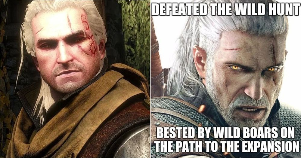 Witcher 3: 10 Memes That Sum Up The Game