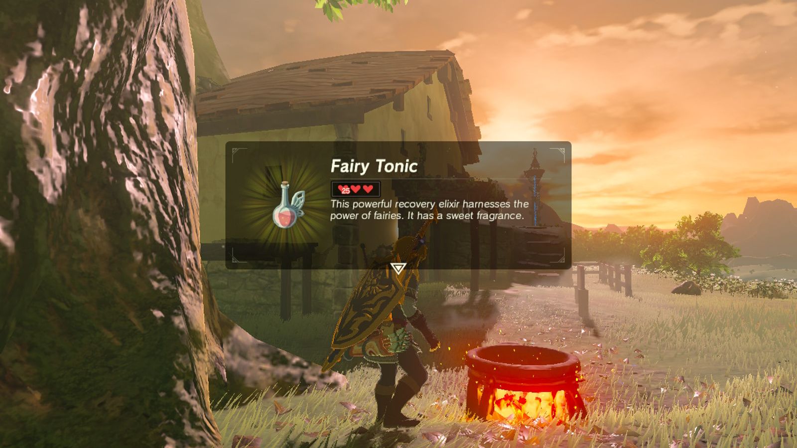 Fairy Tonic is a powerful elixir for heart recovery in BOTW.