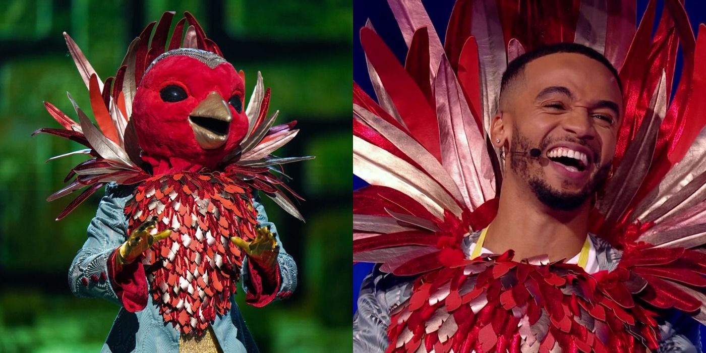 Split image of the Robin performing and Aston Merrygold after his reveal on The Masked Singer UK