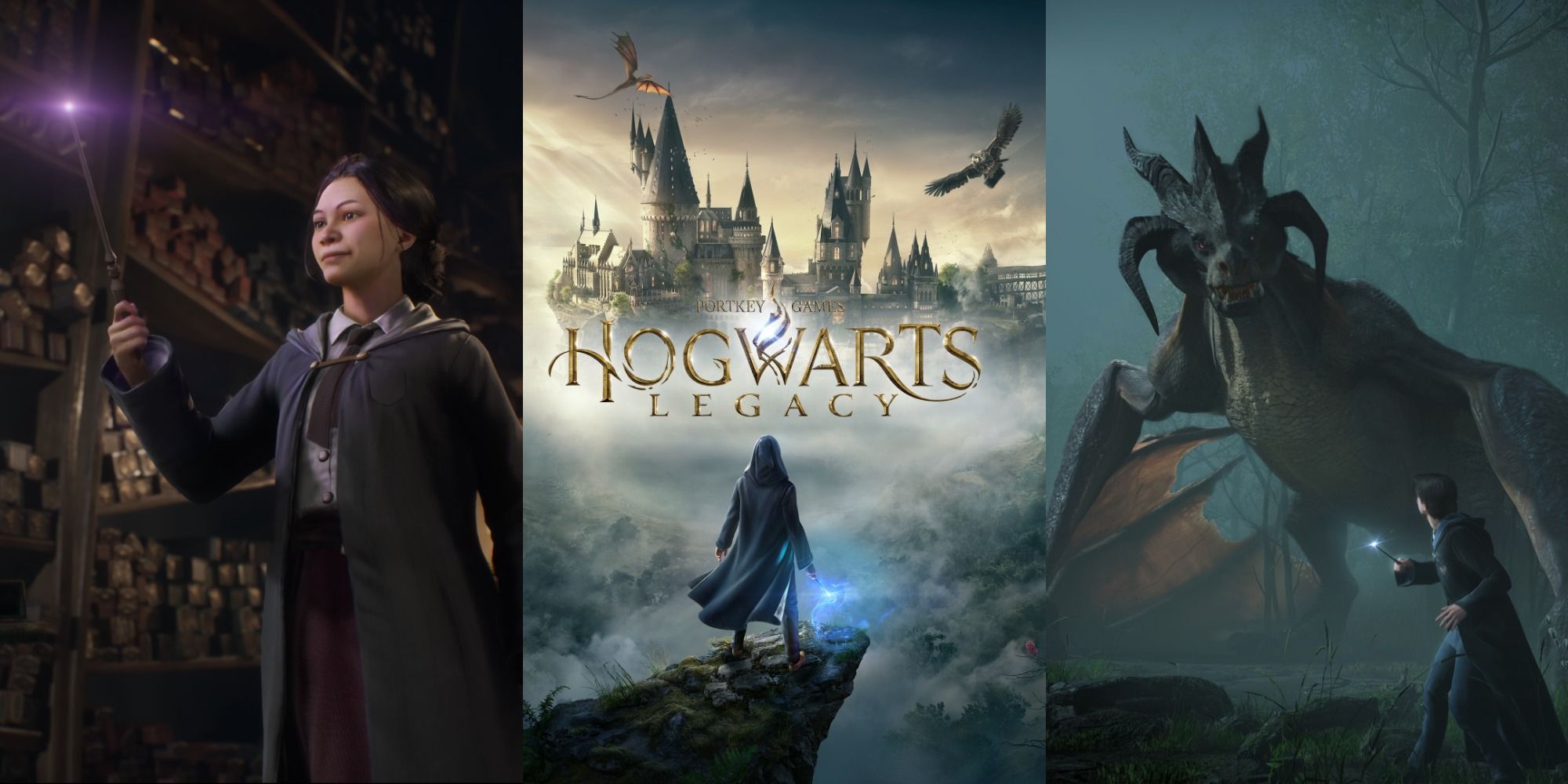 Hogwarts Legacy fans want remakes of the OG Harry Potter games next