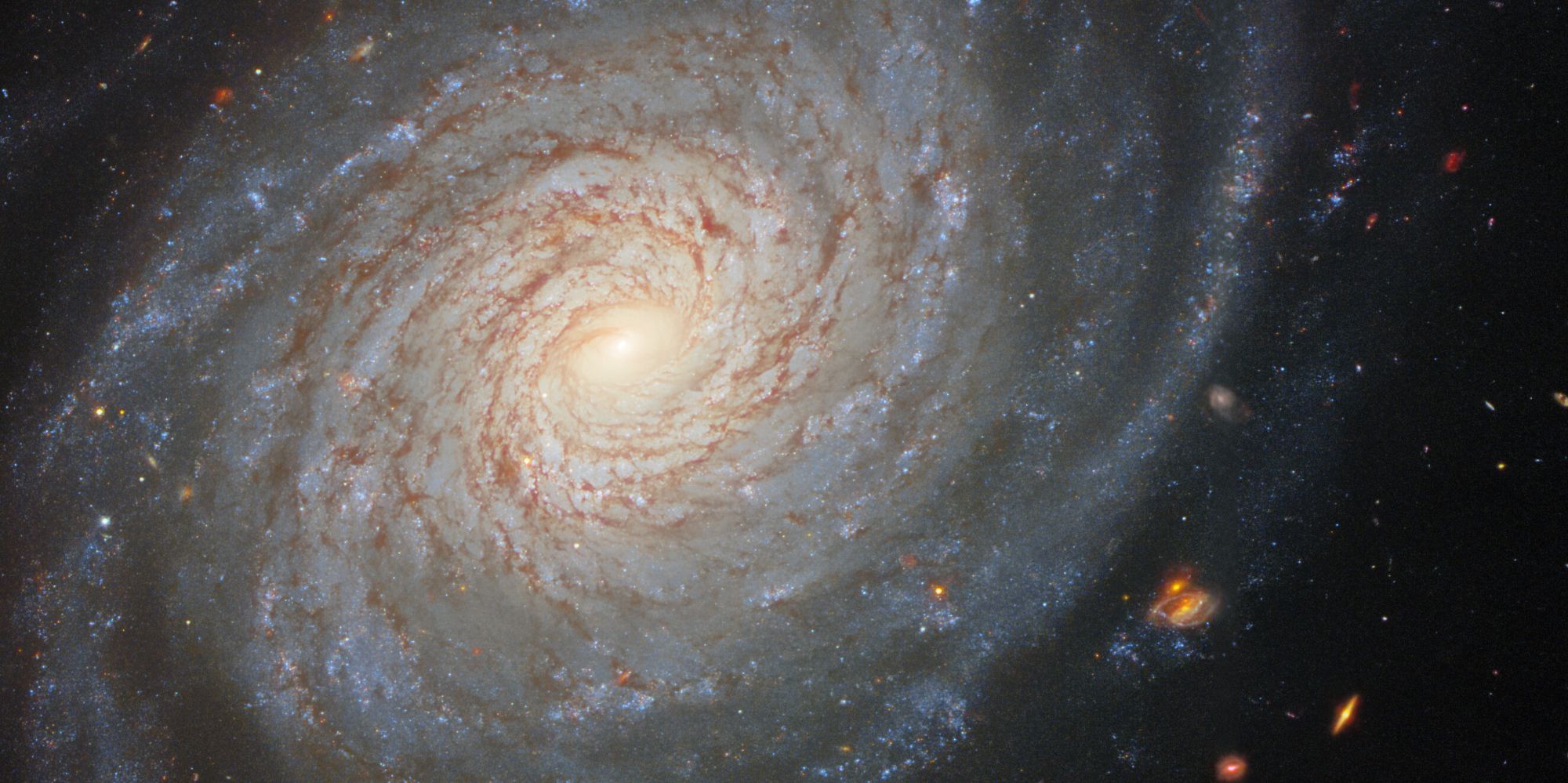 Hubble photo of galaxy NGC 976