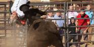 Jackass Forever Bull Injury Left Johnny Knoxville With Brain Damage