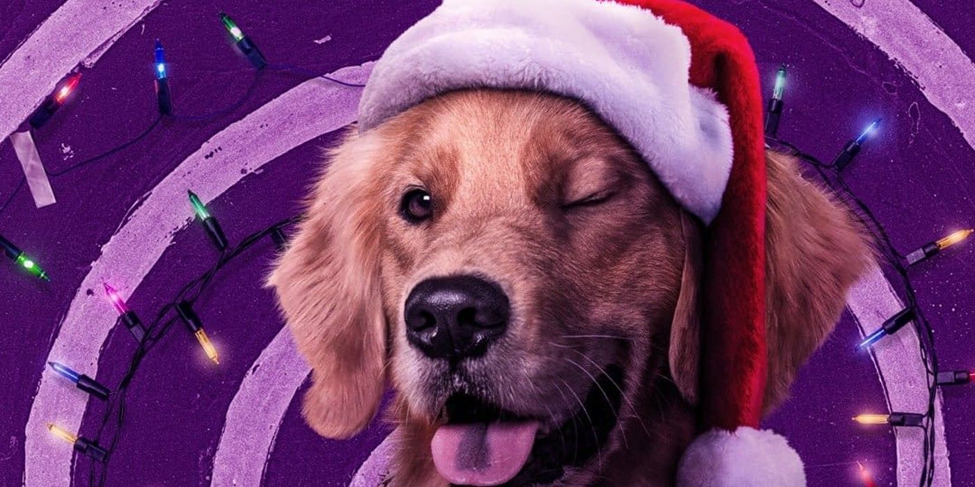 Lucky the Pizza dog wearing a santa hat in Hawkeye