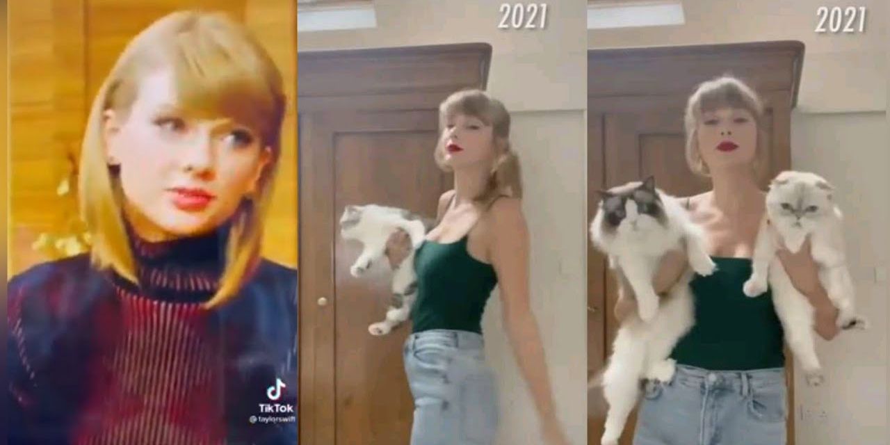 Split image of Taylor Swift's cat lady Tiktok