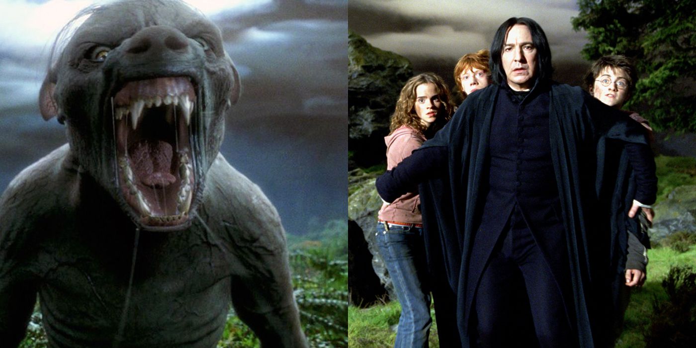 split image werewolf roar and Snape protecting kids