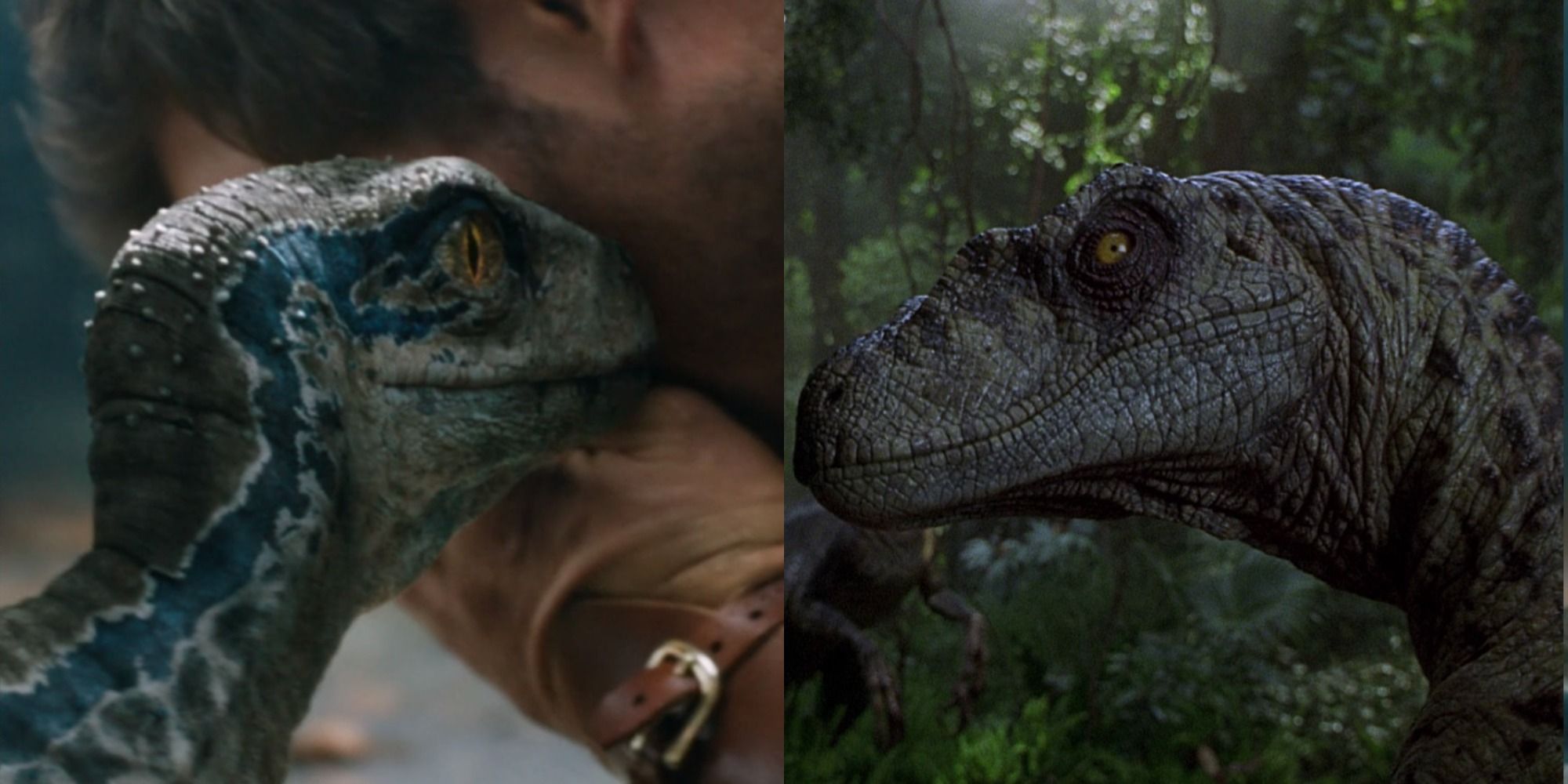 The Real-Life Inspiration Behind the 'Jurassic Park' Velociraptors