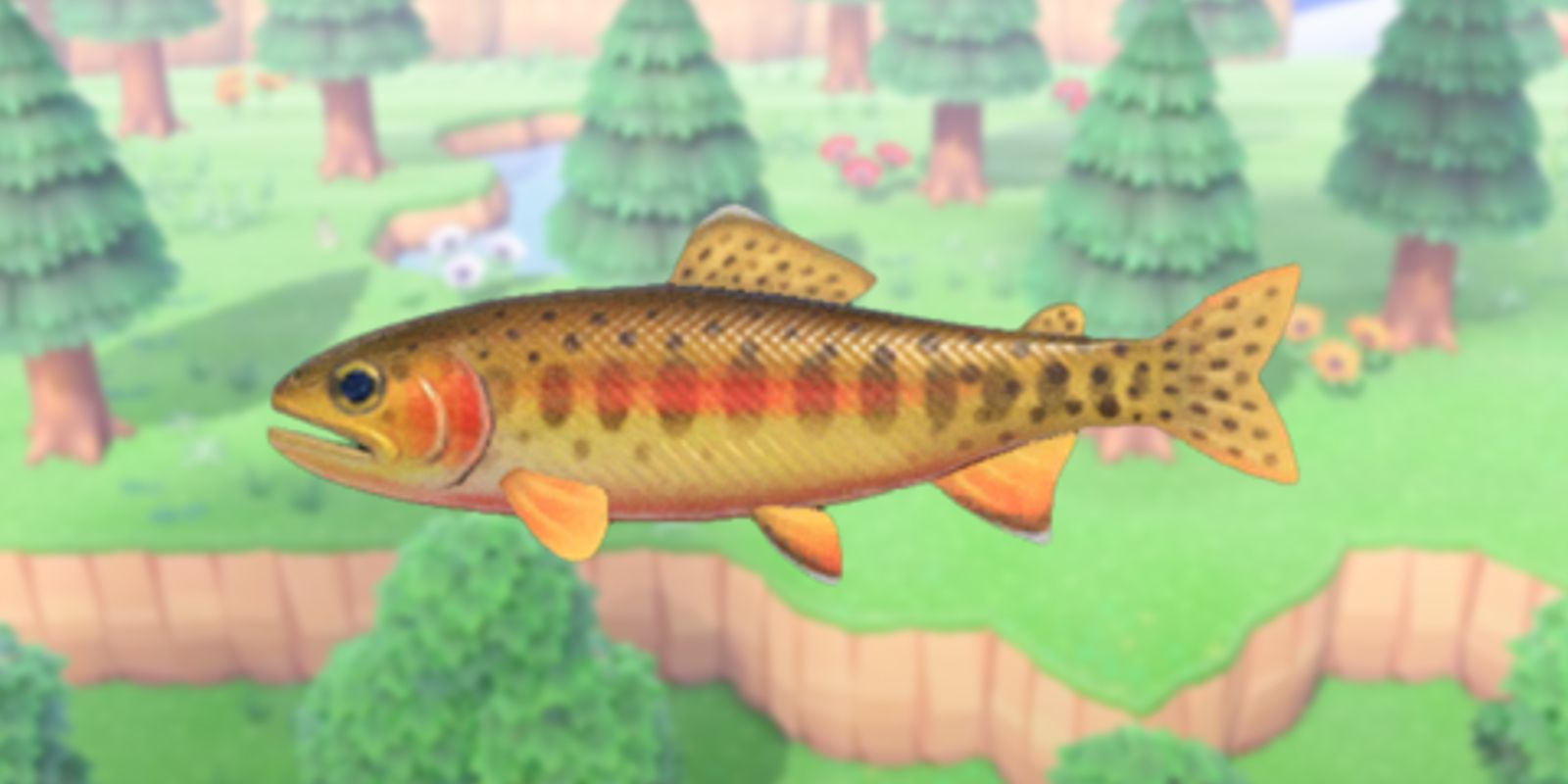 Animal Crossing Everything New In March 2022 (Bugs, Fish, Items)