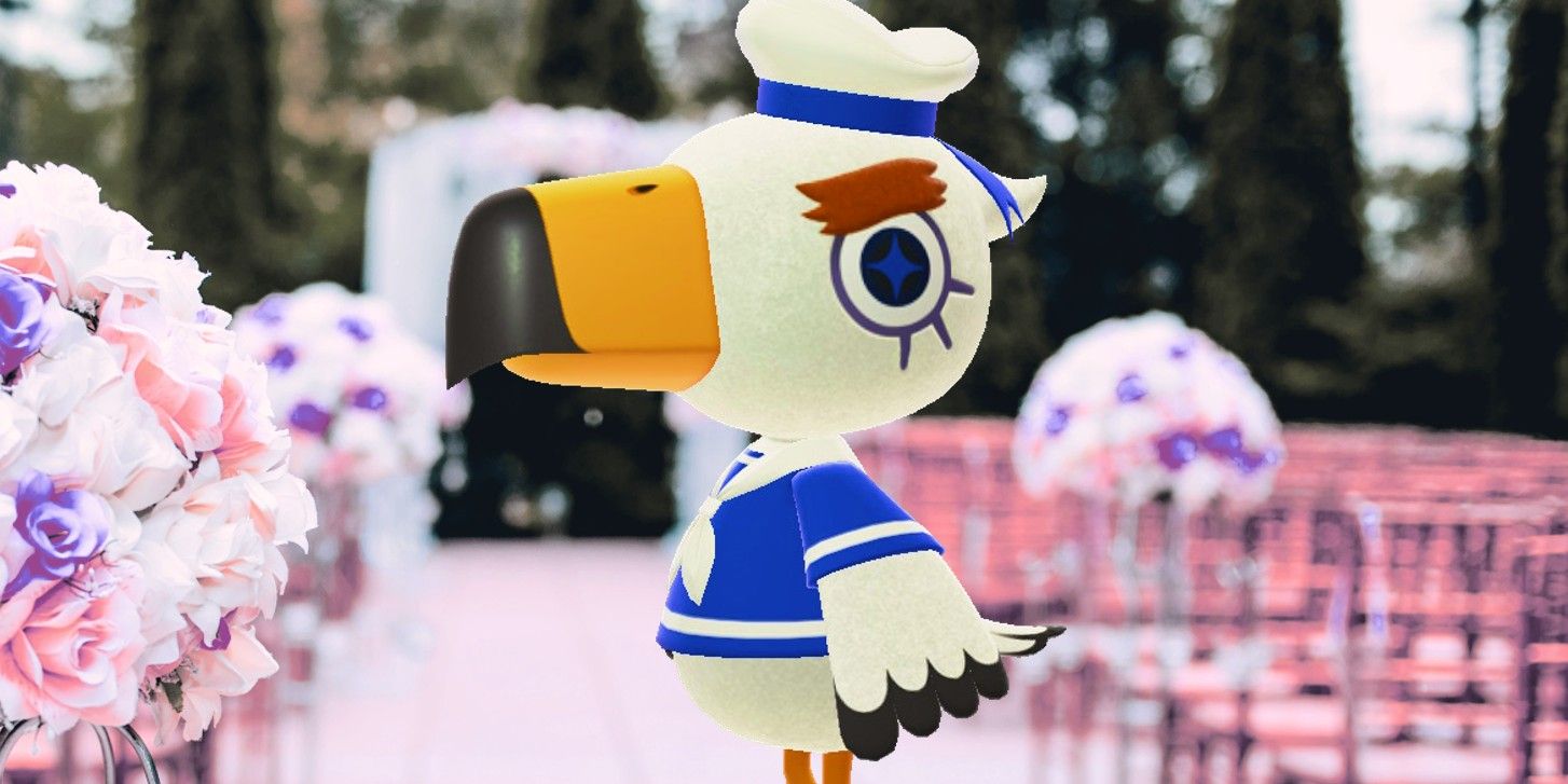 Animal Crossing's Gulliver Gets Left At the Altar By His Mean Crew