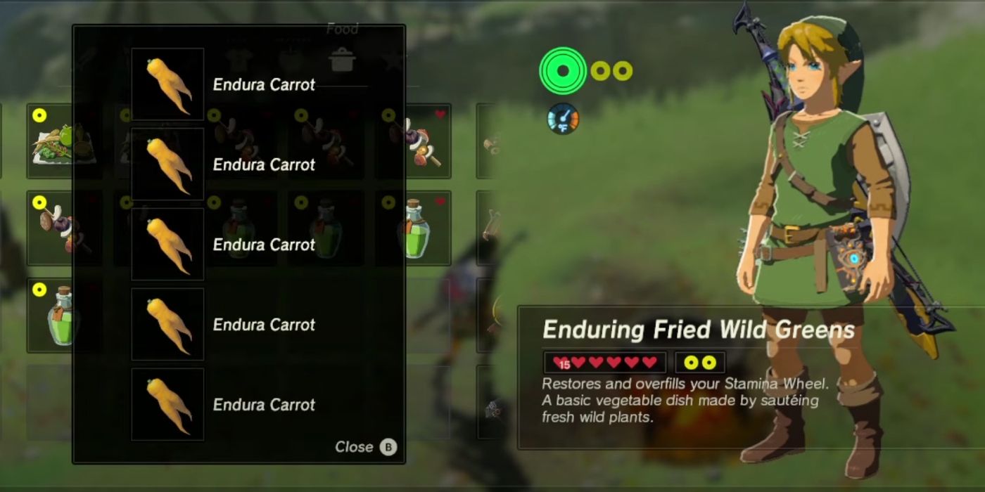 BOTW: How High Can You Raise Link's Stamina