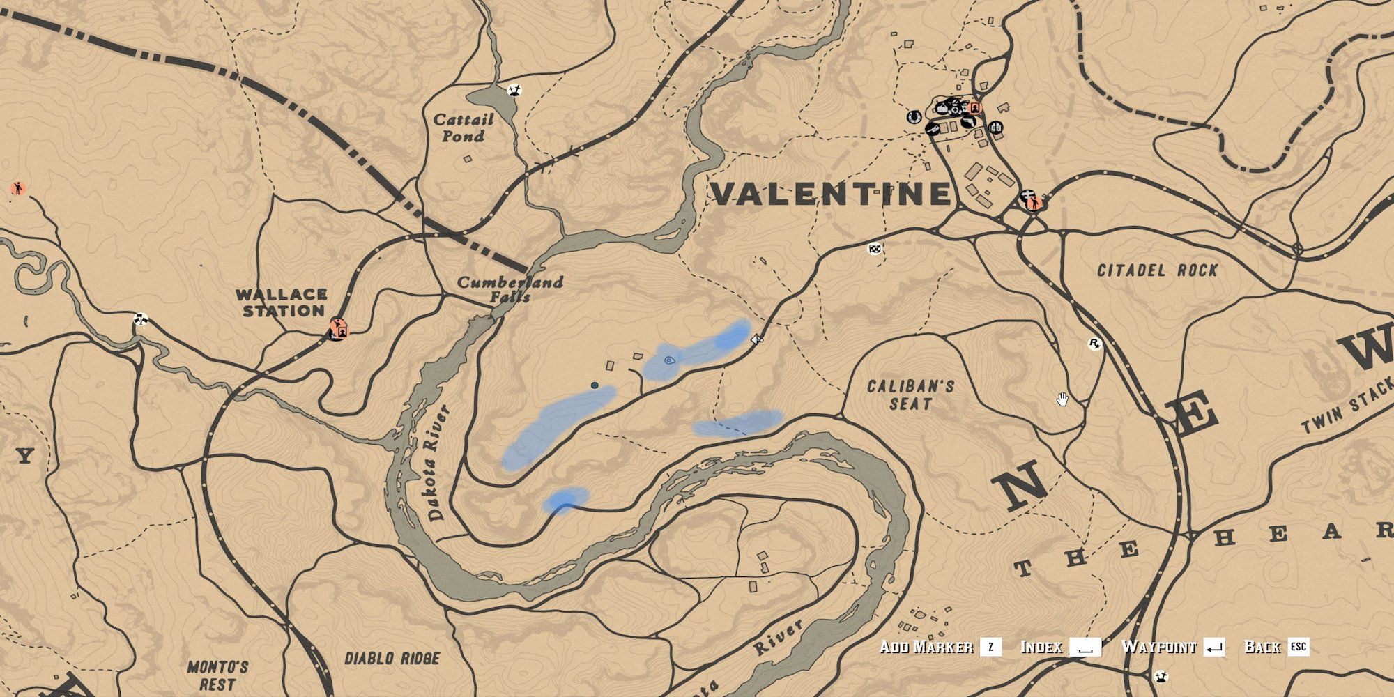 RDR2: Bay Bolete Mushroom Locations & Spawn Guide