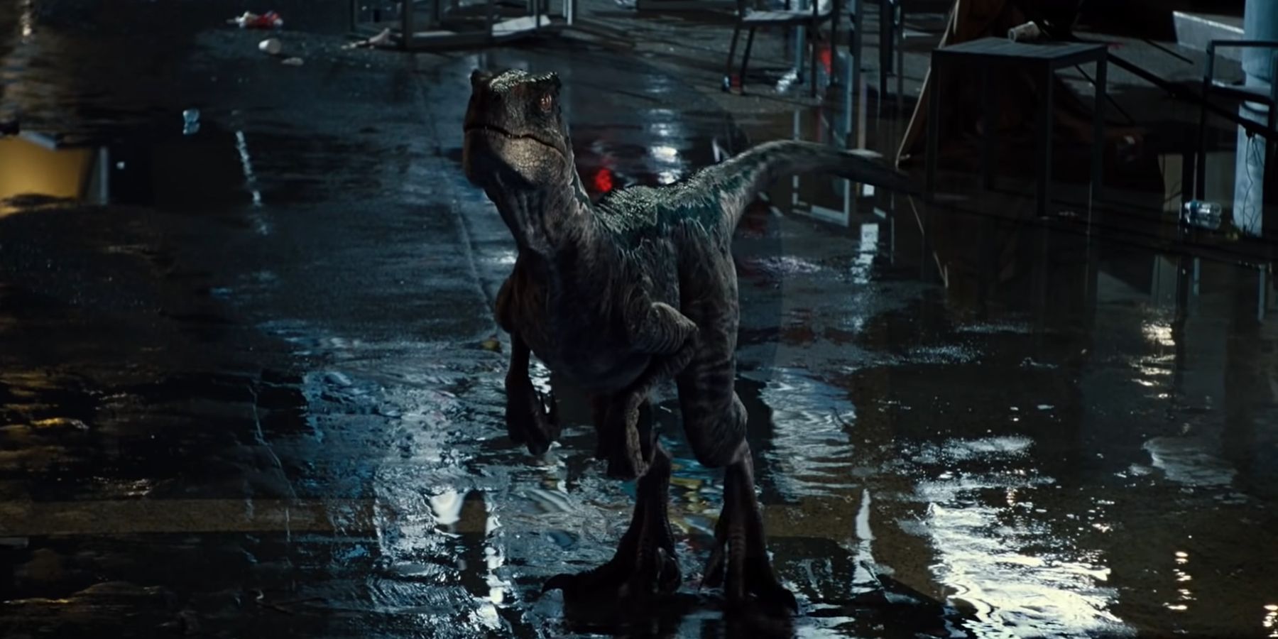 Blue greeting the T-Rex on main street in Jurassic World