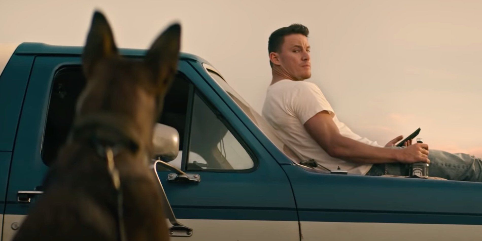 Lulu looking up at Jackson (Channing Tatum) in Dog.