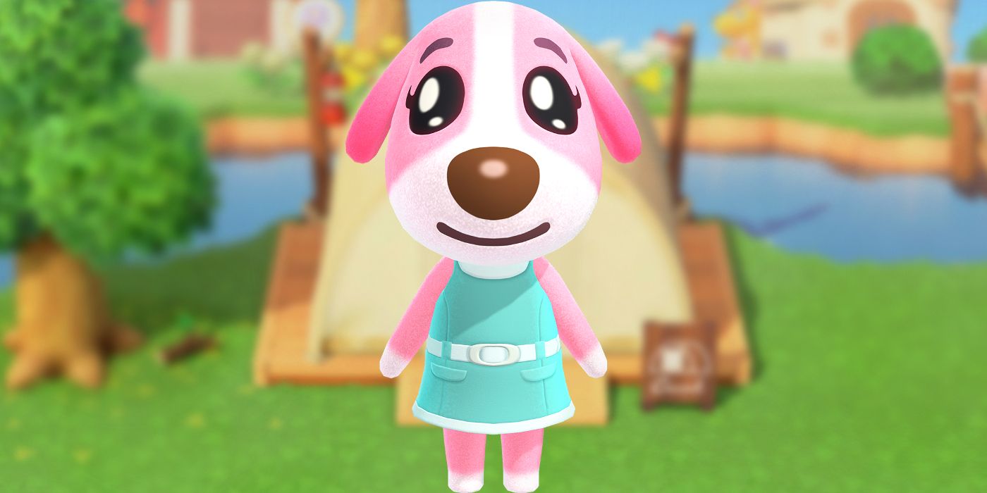 Cookie in Animal Crossing New Horizons