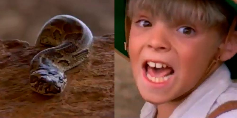 every-time-indiana-jones-was-scared-of-snakes