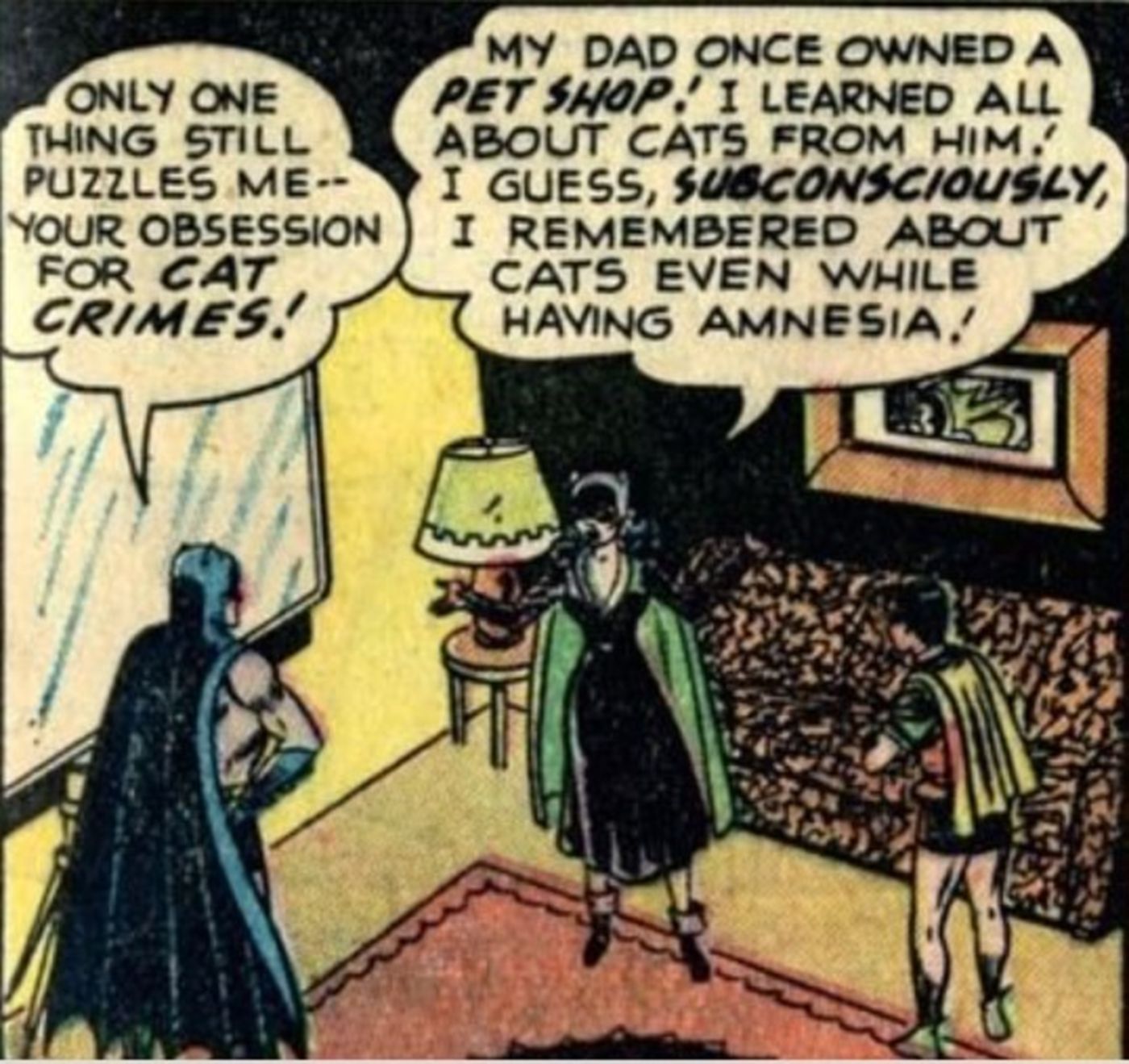 Golden Age Catwoman Batman Robin DC Comics