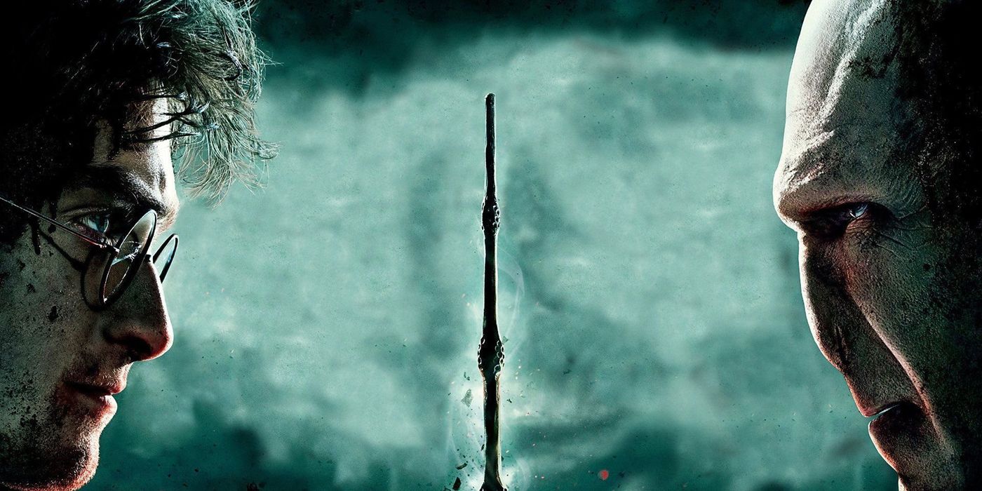 Harry Potter vs Voldemort poster.