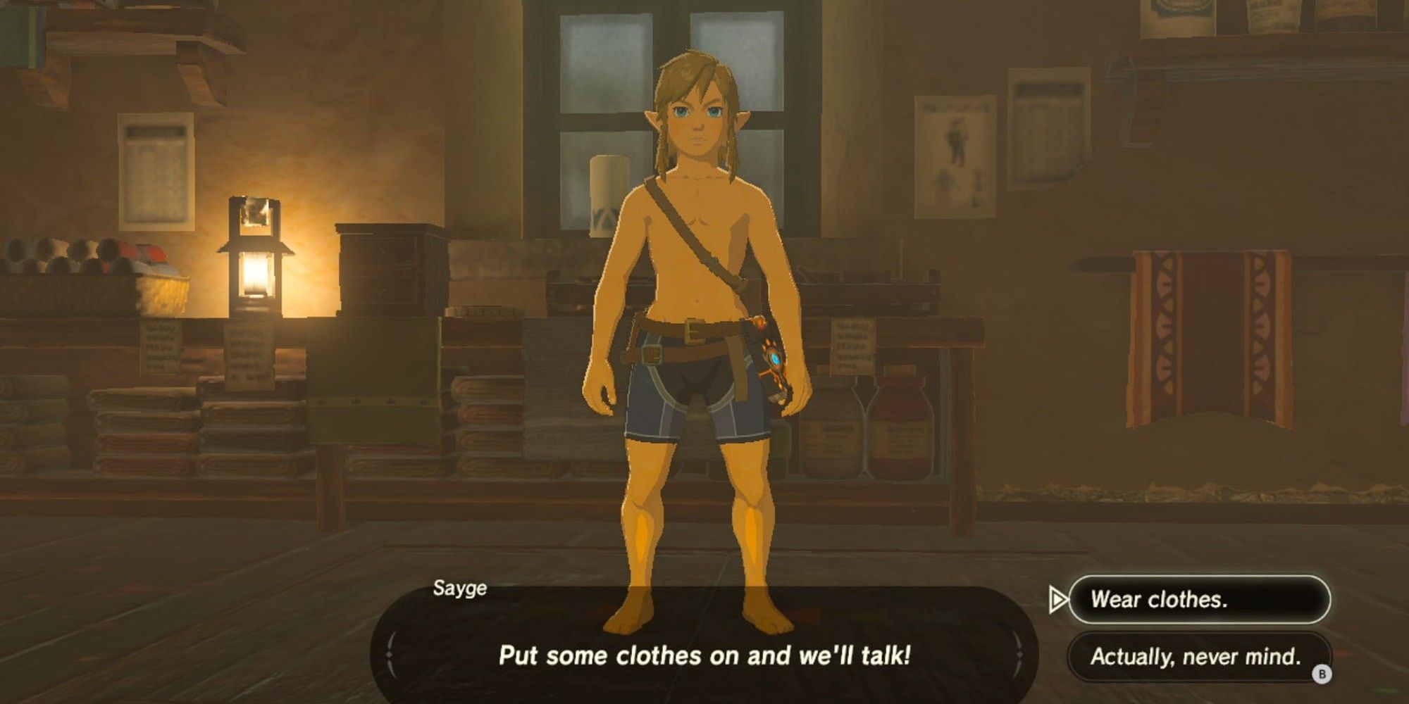 You got Zelda's undies., Link finds X