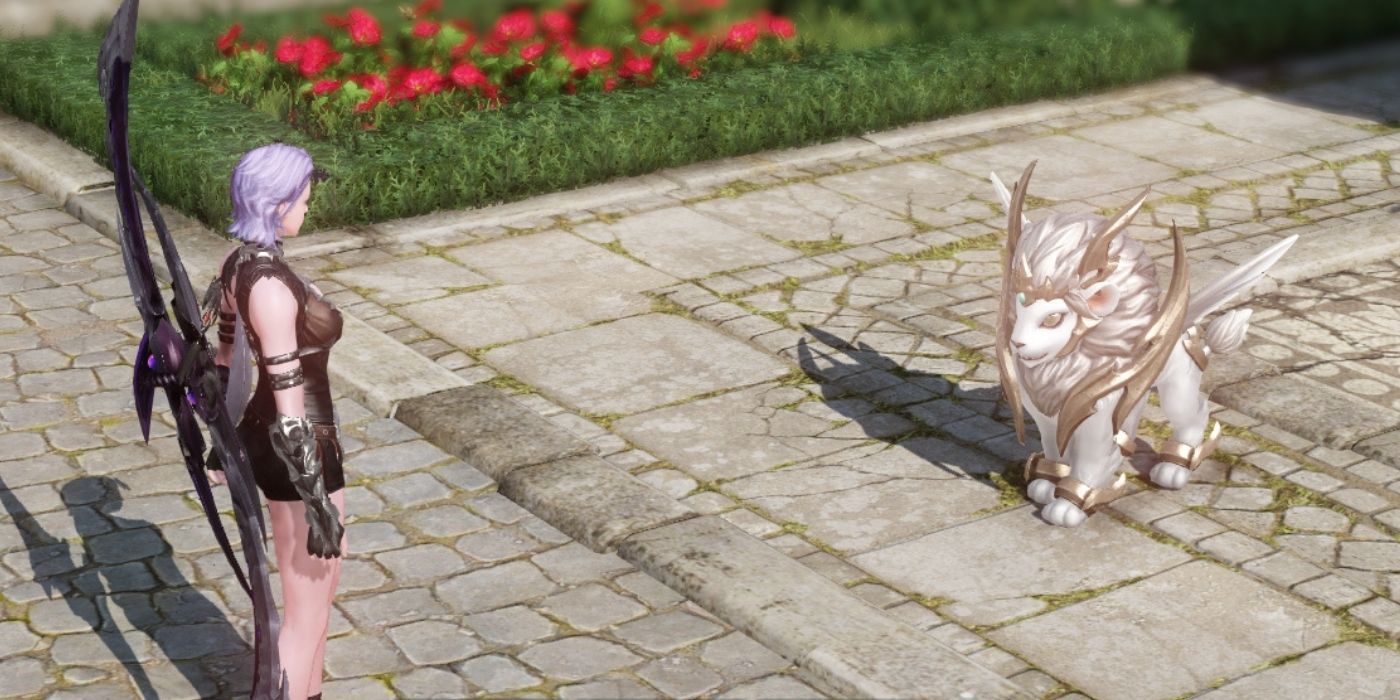 Every Lost Ark Pet Players Can Get for Free