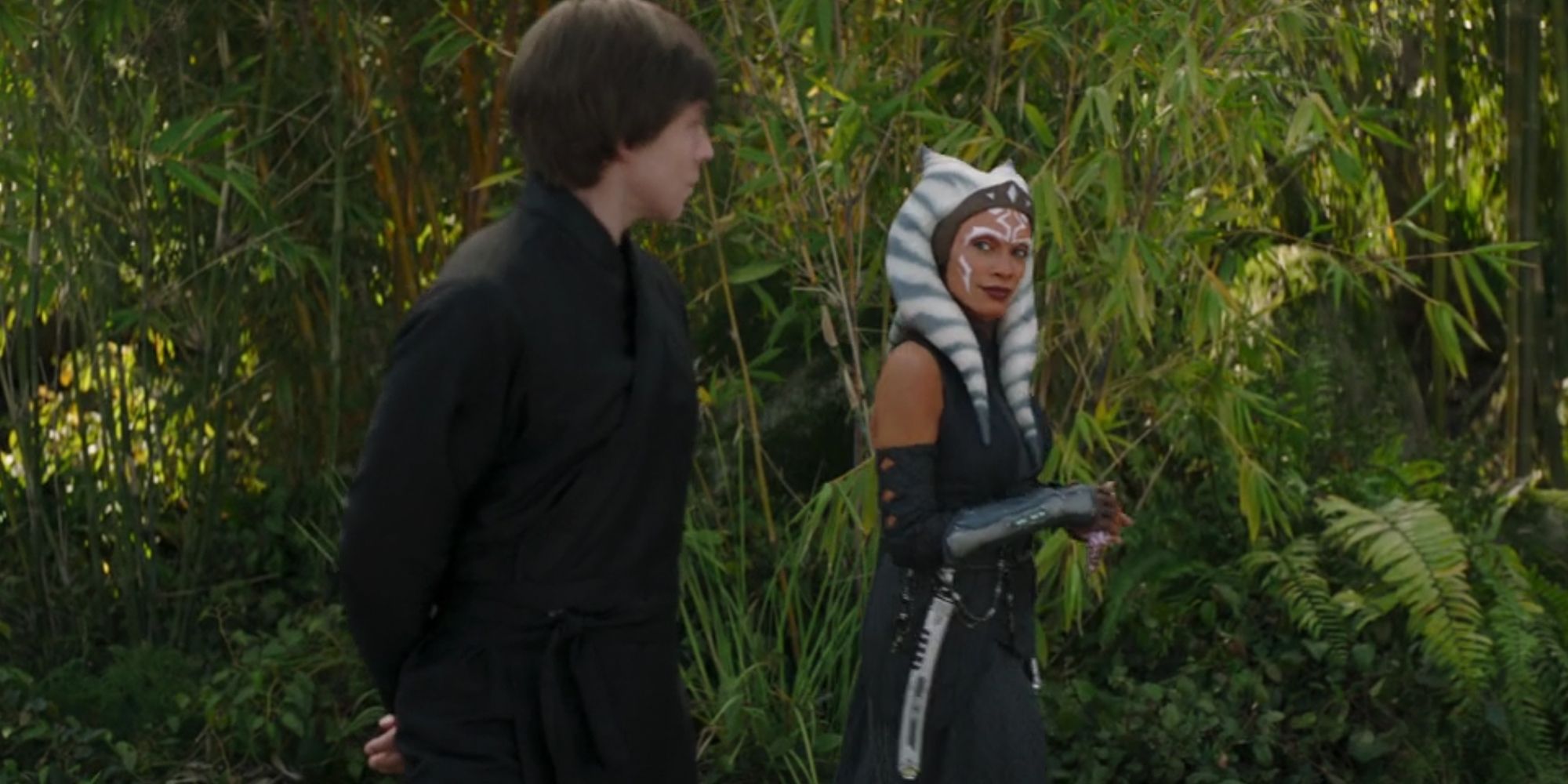 Luke Skywalker and Ahsoka Tano meet in The Book of Boba Fett.