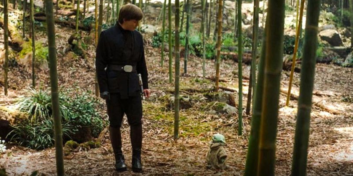 Star Wars: 10 Things Fans Want To See In A Luke Skywalker Series, According To Reddit
