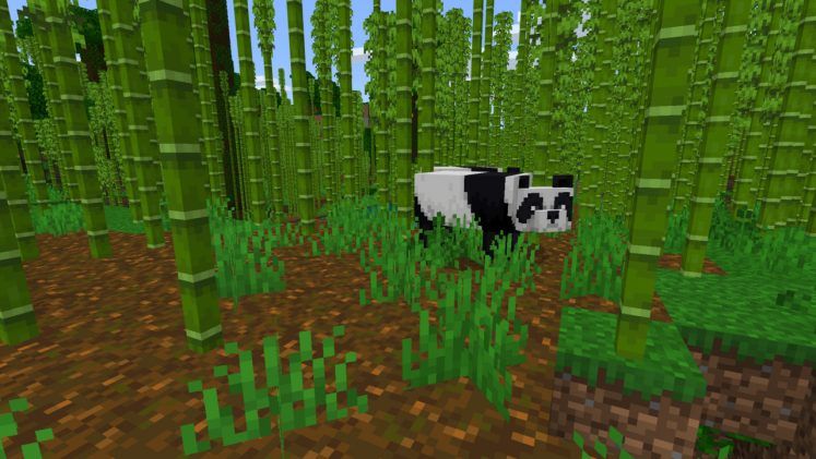 Minecraft Seed Bamboo Forest 1.18 Feb 2022