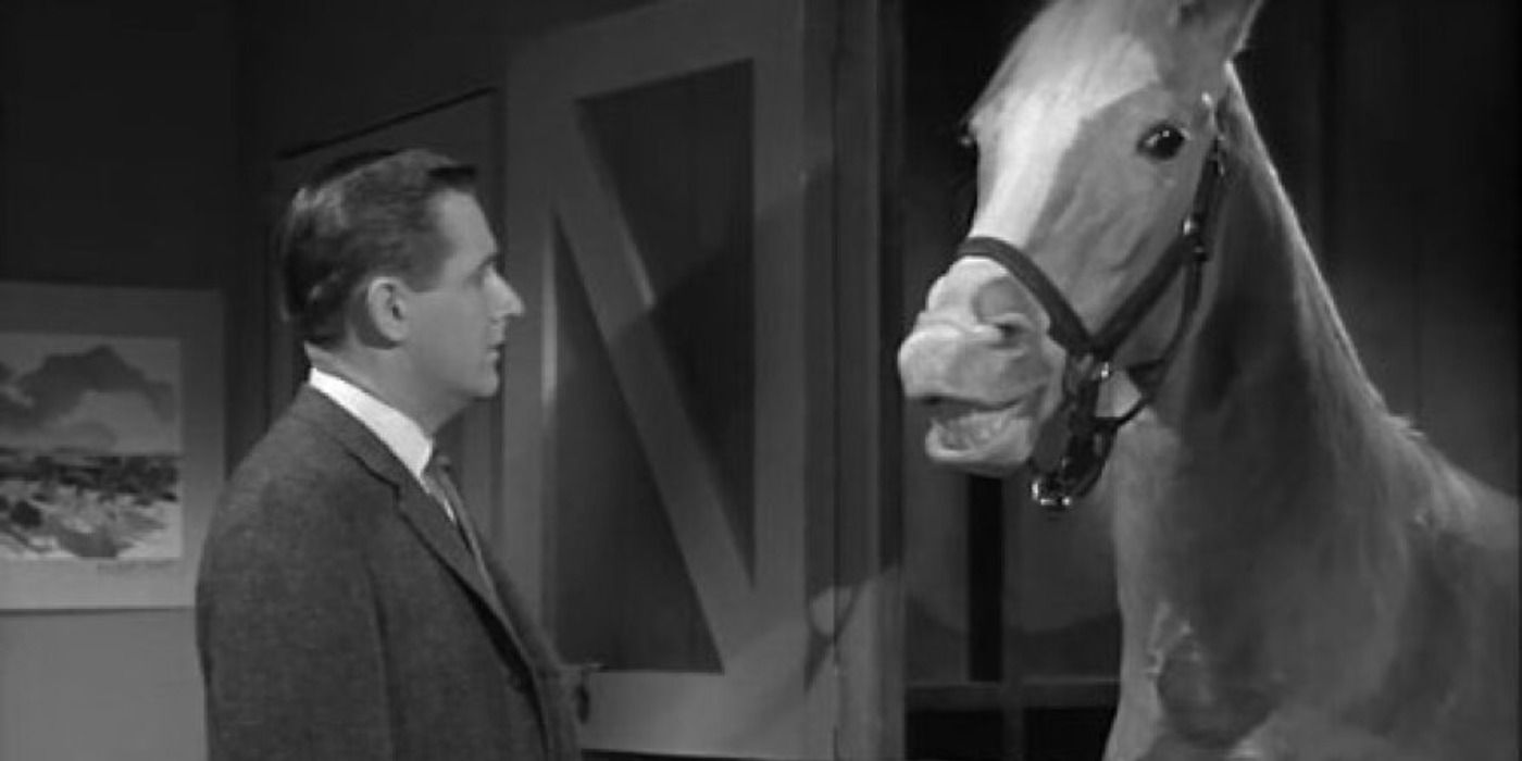 Mr. Ed was often referenced in MST3K