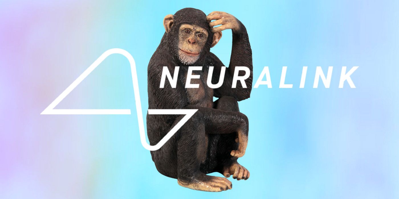 Neuralink monkey experiments